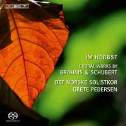 Brahms Choral works